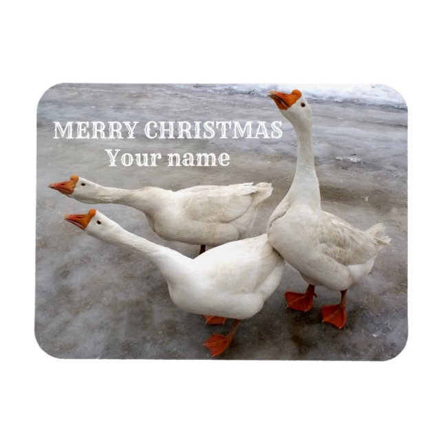 Gästvit Magnet (Horisontell)