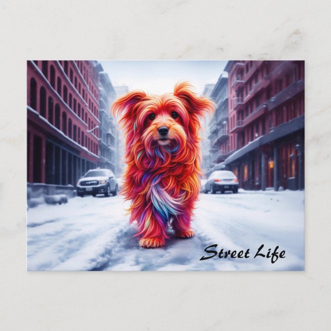 Gata hund i frostiskt vinterslam vykort (Framsida)