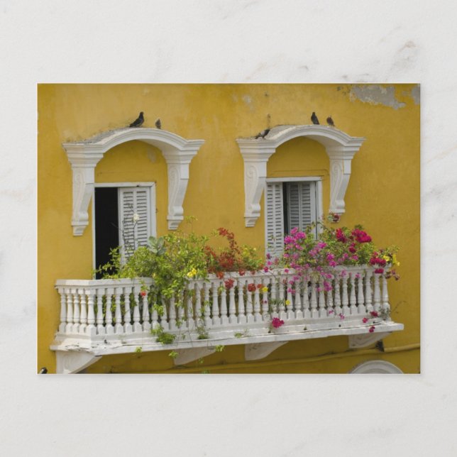 Gata i Cartagena Vykort (Framsida)