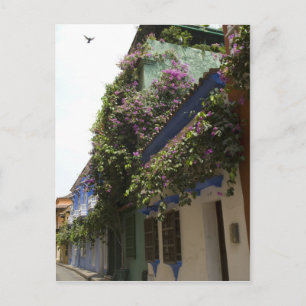 Gata i Cartagena Vykort
