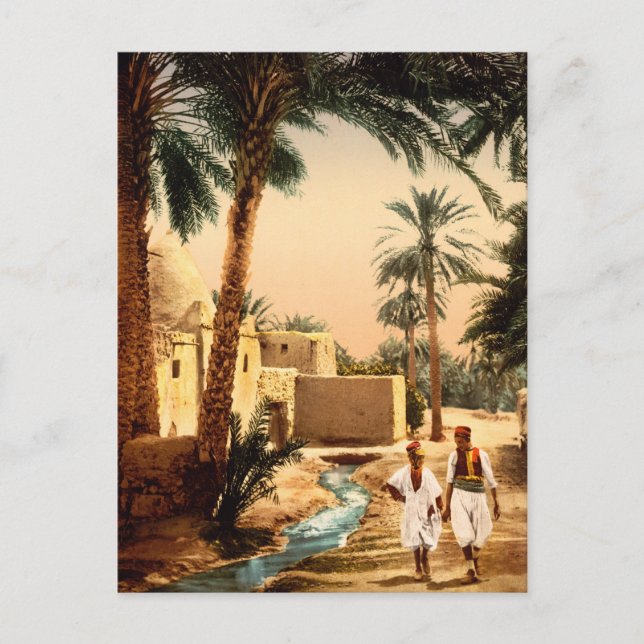 Gata i den gammala townen, Biskra, Algeriet Vykort (Framsida)