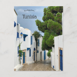 Gata i Sidi Bou Said Carthage Tunisien Vykort