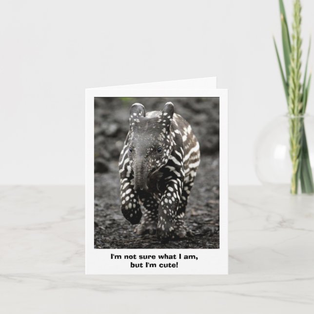 Gåtanötkreatur Kort (Framsida)