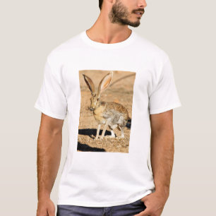 Gatantisportsporträtt, Arizona Tee