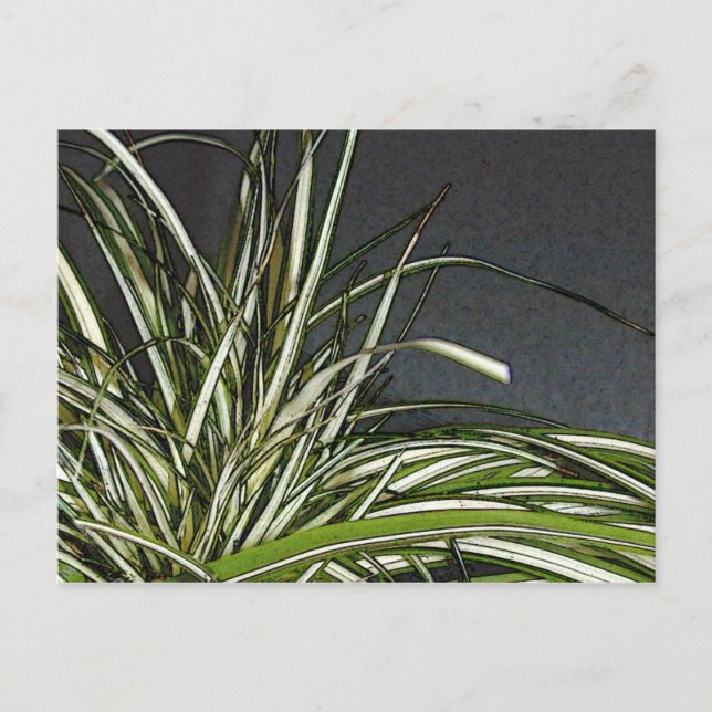 Gatha Vykort (Framsida)