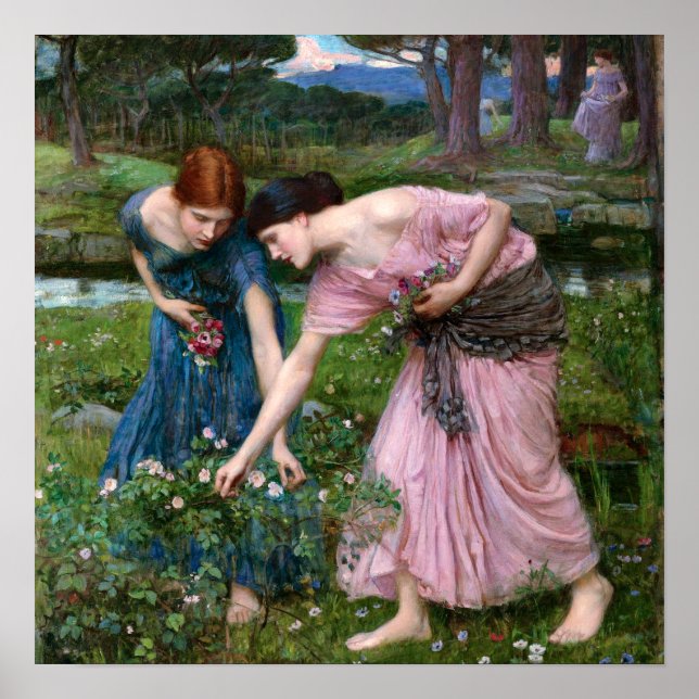 Gather Ye Rosebuds by John William Waterhouse Poster (Framsidan)