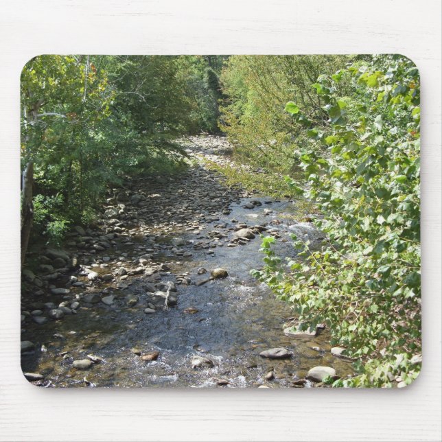 Gatlinburg Musmatta (Framsidan)