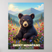 Gatlinburg Smokey Mountains Vilda Under