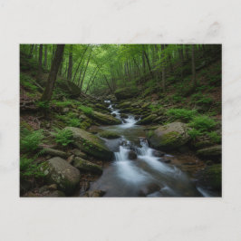 Gatlinburg , Tennessee Forest waterfall Vykort