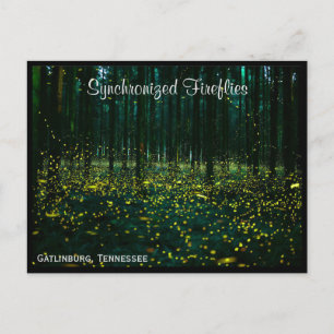 Gatlinburg Tennessee Postcard TN Vykort