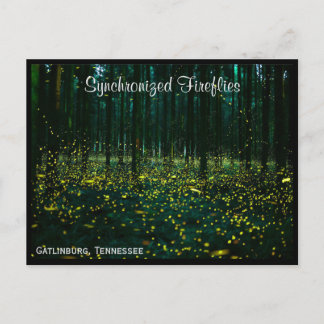 Gatlinburg Tennessee Postcard TN Vykort