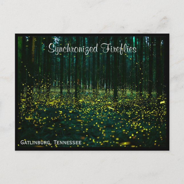 Gatlinburg Tennessee Postcard TN Vykort (Framsida)