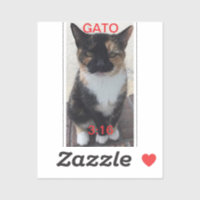 GATO 3:16-symbol