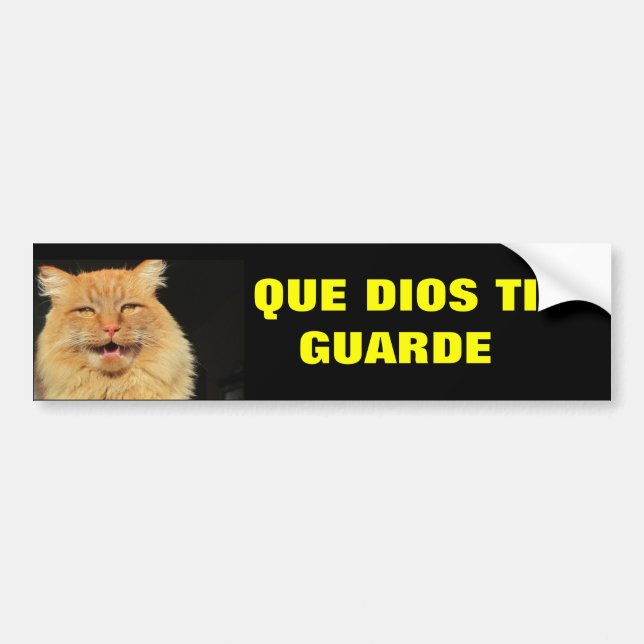 Gato - Que Dios Ti Guarde (må Gud vaka över dig) Bildekal (Framsidan)