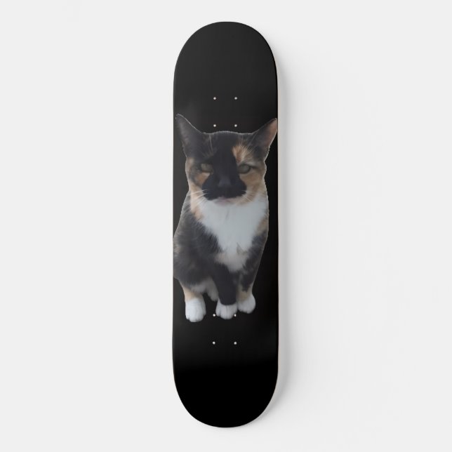 GatoDisapproves Skateboard (Framsida)