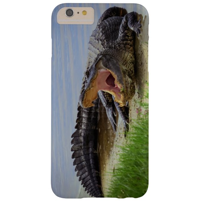 Gator (Baksidan)