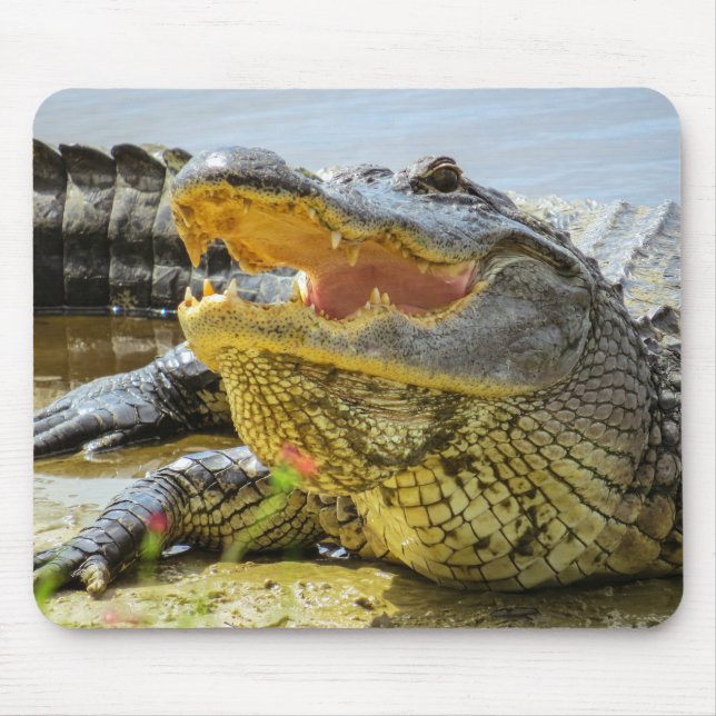 Gator. Ansikte till ansikte Musmatta (Framsidan)