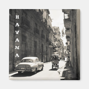 Gator av Havana, Kuba Magnet