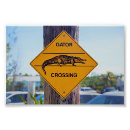 Gator Crossing Sign, Florida Fototryck