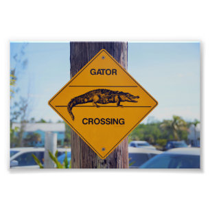 Gator Crossing Sign, Florida Fototryck