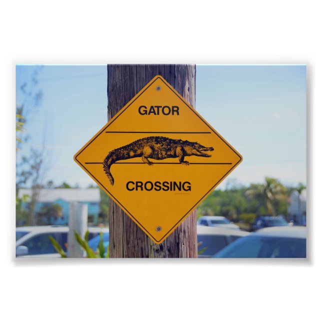 Gator Crossing Sign, Florida Fototryck (Framsidan)
