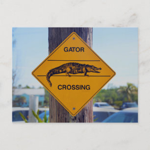 Gator Crossing Sign, Florida Photo Print Vykort