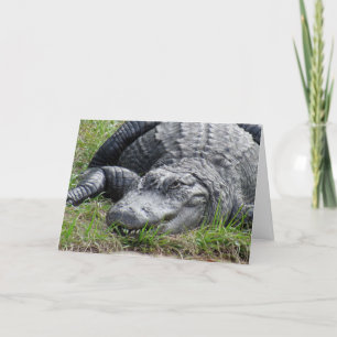 Gator-hälsningskort Kort