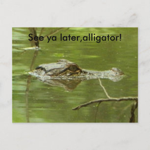 Gator i närheten av vatten vykort