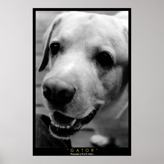 GATOR POSTER (Framsidan)
