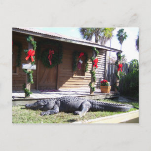 Gator Vykort