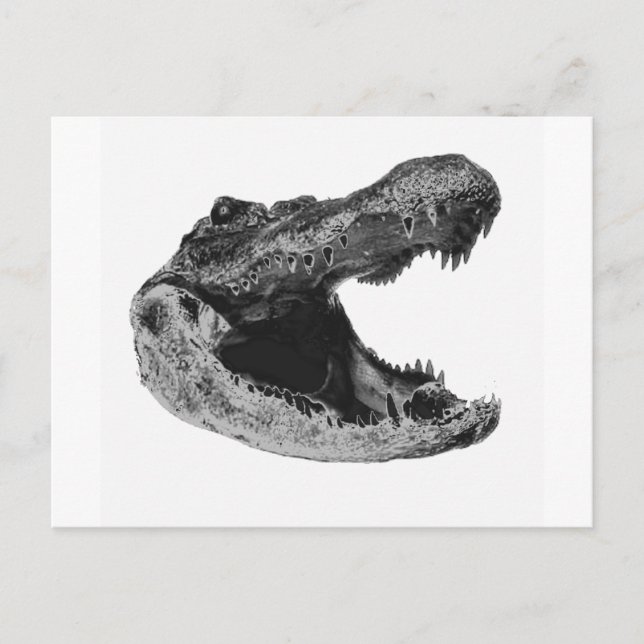 GATORS MAKe Vykort (Framsida)