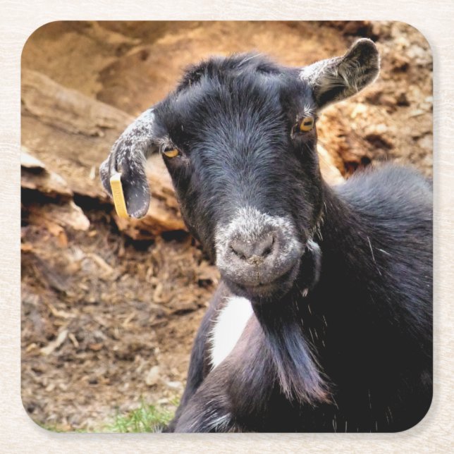 GATS UNDERLÄGG PAPPER KVADRAT (Framsidan)