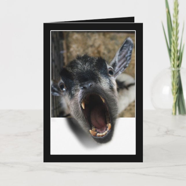 Gatskrynkning för att komma ut kort (Framsida)