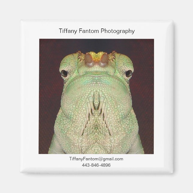 Gatsu Promo Magnet (Framsidan)