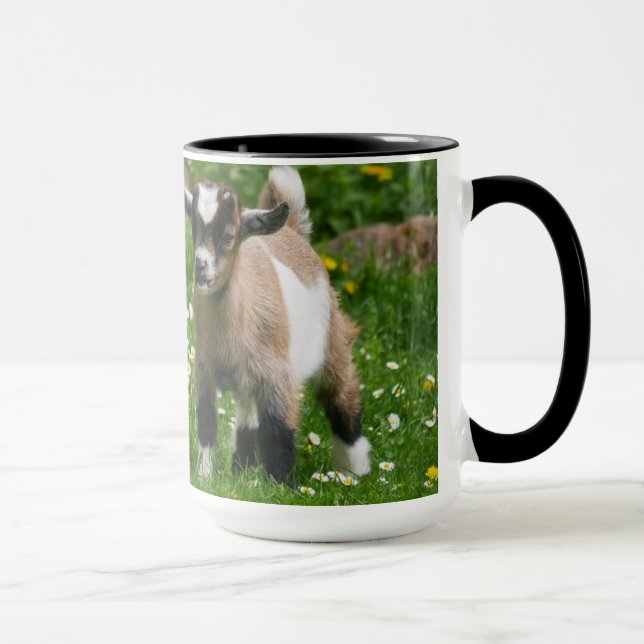 Gattarna är ute på kaffefoto Mugg Zazz_it (Höger)