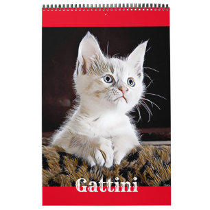 GATTI GATTINI CUCCIOLI - Calendario Kalender
