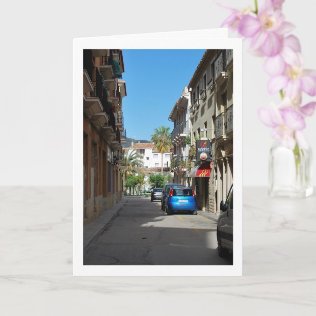 Gatu Porträtt, Chelva Valencia Spanien, Spansk Kort (Orkide)