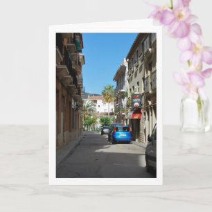 Gatu Porträtt, Chelva Valencia Spanien, Spansk Kort