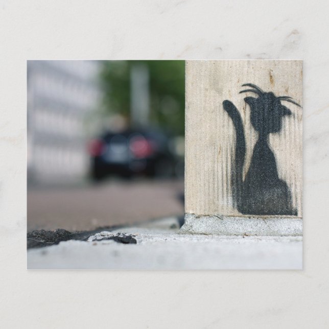 gatukatt vykort (Framsida)