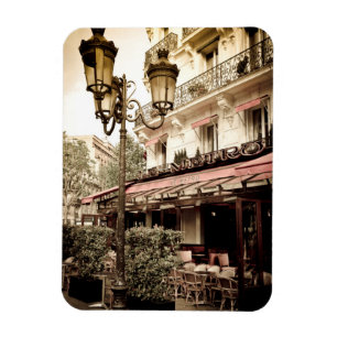 Gatukrog, Paris, Frankrike Magnet