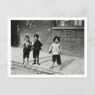 Gatuurchins i Lambeth (b/w bild) Vykort