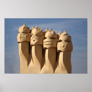 gaudichimeys poster
