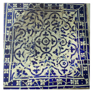 Gaudis parkerar den Guell mosaiken belägger med Kakelplatta