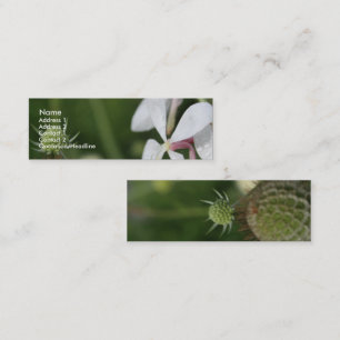Gaura 2 mini visitkort