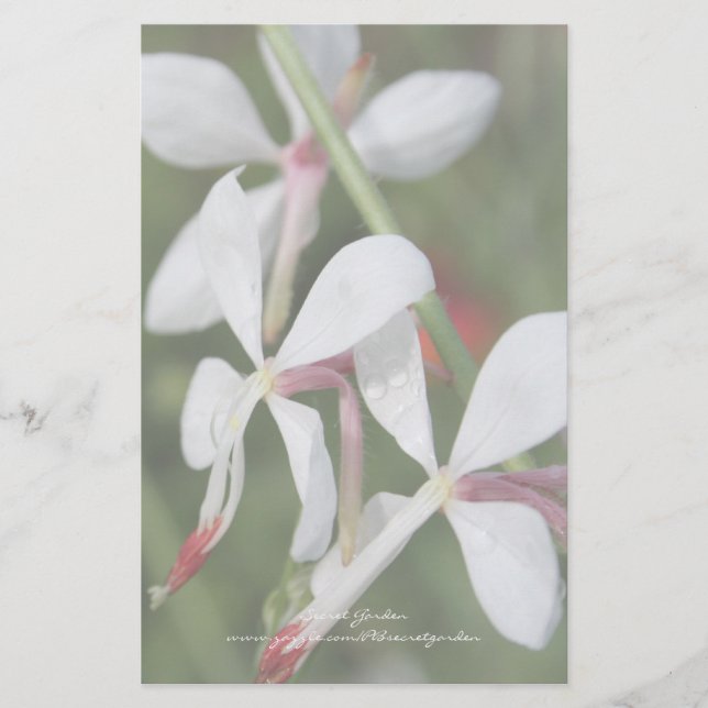 Gaura - Personlig Stationery Brevpapper (Framsida)