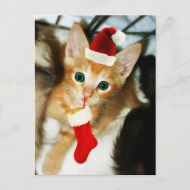 GÅVA FÖR DIG VYKORT (Framsida)