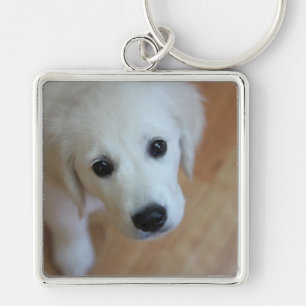 Gåva för djur älskare fyrkantig silverfärgad nyckelring