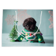 Gåvan för den Notta björnvalpen hänger lös