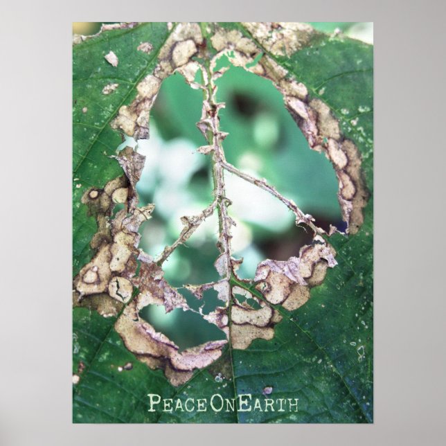 gave peace poster (Framsidan)