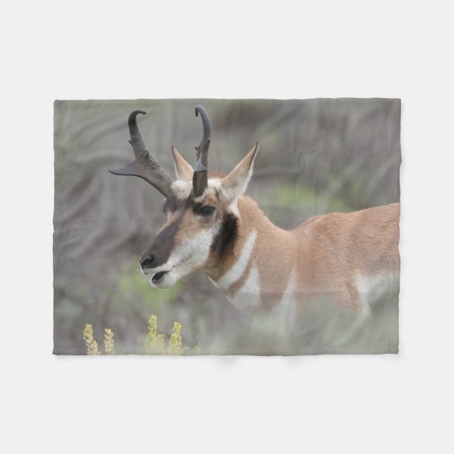 Gavelhjort | Grand Tetons Fleecefilt (Framsidan (Horisontell))